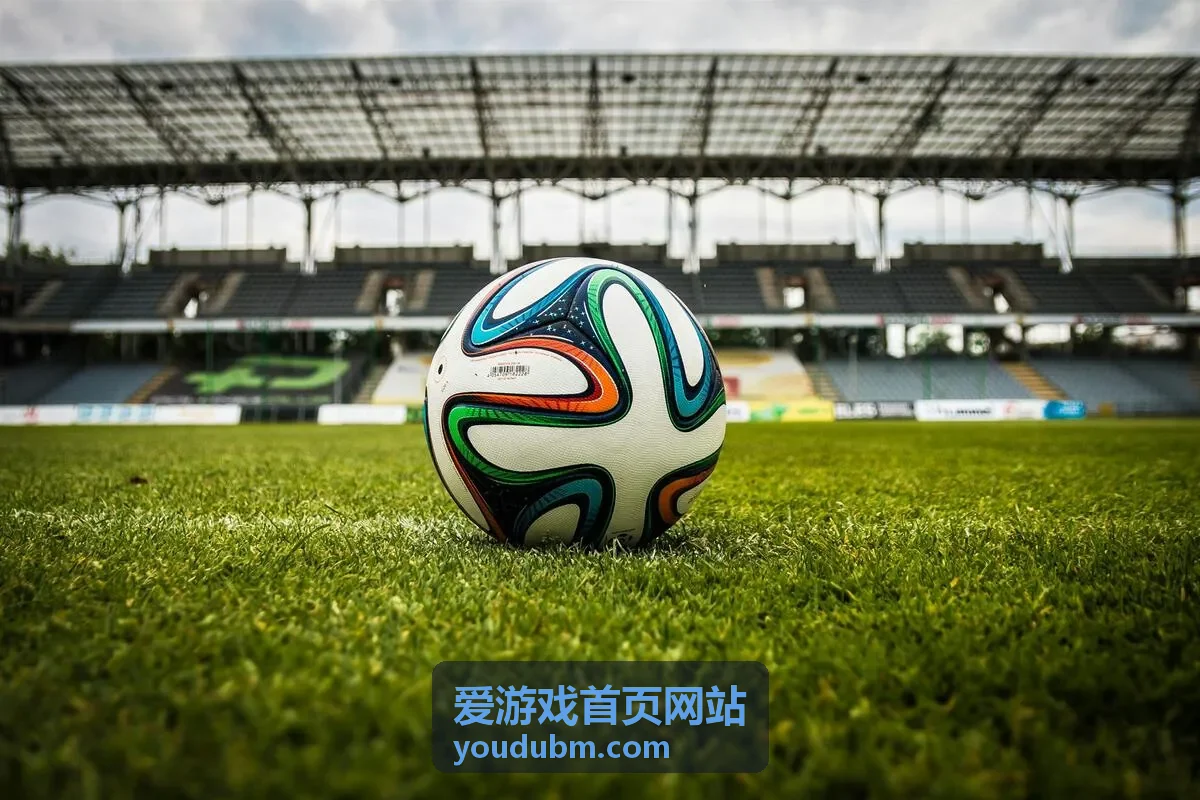 爱游戏首页网站第 12 期双人对战专场直播封面